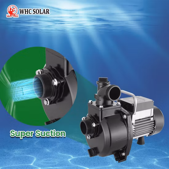 Top Quality Submersible Solar Water Pump with MPPT Controller for DC AC Hybrid, 3 Years Warranty